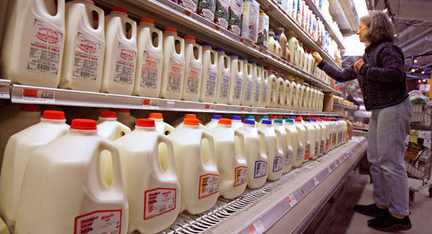 Milk on shelves in grocery